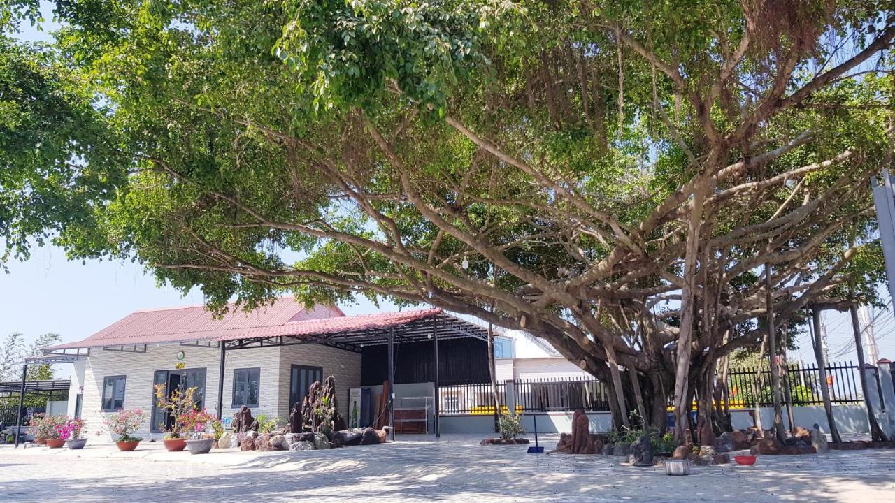 Lang Van Ke Homestay Thao Nguyen Xanh المظهر الخارجي الصورة